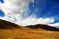 Free Beautiful Cloud And Yellow Gra Stock Photos - 3826073
