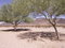 Free Arizona Rest Areas I-10W  Two Stock Photography - 3821622