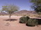 Free Arizona Rest Areas I-10W  Three Stock Photos - 3821623