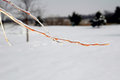 Free Ice On Branch Stock Images - 3842004