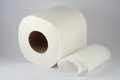 Free Toilet Paper Royalty Free Stock Images - 3857479