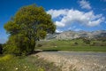 Free Mountain Road Royalty Free Stock Photography - 3858317
