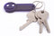 Free Bunch Of Keys With Dark Blue Smile Trinket. Royalty Free Stock Photo - 3852465