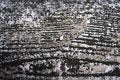 Free Wood Grain Texture Stock Images - 3867044