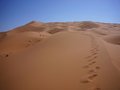 Free Fottprints At The Desert Royalty Free Stock Photo - 3896135