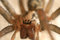 Free Movie Monster Stock Image - 3894121