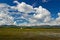 Free Clouds On The Marshland Stock Photography - 3895472