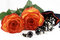 Free Two Beautiful Roses And Jewelery Stock Photo - 3897830
