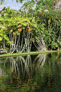 Free Lake Reflection Royalty Free Stock Photos - 393538