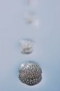 Free Suds Drops Stock Photography - 395072