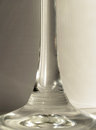 Free Glass Stem Stock Photo - 396070