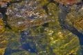 Free Rocks Under Water Stock Photography - 399672