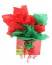Free Red And Green Gift Holiday Gift Bag Royalty Free Stock Photo - 390915