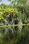 Free Lake Reflection Royalty Free Stock Photos - 393538