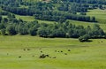 Free Landscapes Of Grassland Royalty Free Stock Photo - 3922565