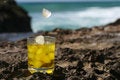 Free Scotch On The Rocks Royalty Free Stock Photography - 3926557