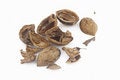 Free Nut Shells Stock Photos - 3927193