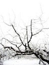 Free Solitude Stock Photography - 3929062
