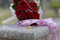 Free Rings And Roses Royalty Free Stock Image - 3923686