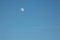 Free Moon & Aircraft Stock Photos - 3925103