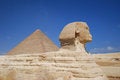 Free Sphinx And Pyramid Royalty Free Stock Photo - 3933915
