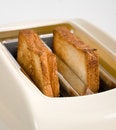 Free Toasts In Toaster Stock Photos - 3936653