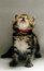 Free Kitten In Red Collar Looking Up Royalty Free Stock Image - 3930556