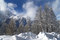 Free Fairy Winter Landscape Stock Image - 3942641