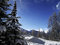 Free Sunny Winter Landscape Stock Image - 3949521