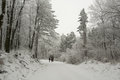 Free Winter Trip Royalty Free Stock Photos - 3952968