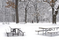 Free January Park Stock Photo - 3954800