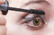 Free Woman Applying Mascara, Volume Brush Royalty Free Stock Image - 3956676