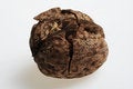 Free Nut For Sweet Dessert Taste! Royalty Free Stock Image - 3965596