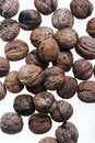 Free Nut For Sweet Dessert Taste! Royalty Free Stock Photo - 3965625