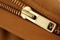Free Large Gold Zipper Macro Royalty Free Stock Photo - 3972005