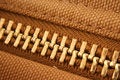 Free Large Gold Zipper Macro Royalty Free Stock Photography - 3972007