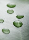 Free Freshness Royalty Free Stock Photo - 3979675