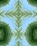 Free Icy Pine Needle Cross 4 Royalty Free Stock Photography - 3977727