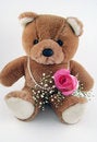 Free Beary In Love Stock Photography - 3980512
