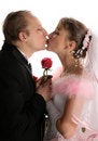 Free The Fiancee And Bridegroom At A Wedding Royalty Free Stock Photography - 3987617