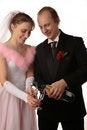 Free The Fiancee And Bridegroom Royalty Free Stock Photography - 3987677
