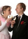 Free The Fiancee And Bridegroom Stock Photos - 3987683