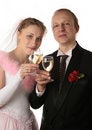 Free The Fiancee And Bridegroom Royalty Free Stock Photography - 3987687