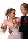 Free The Fiancee And Bridegroom Royalty Free Stock Photo - 3987695