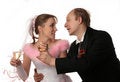 Free The Fiancee And Bridegroom Stock Photography - 3987702