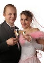 Free The Fiancee And Bridegroom Stock Photography - 3987712