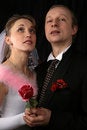 Free The Fiancee And Bridegroom At A Wedding Stock Image - 3987801