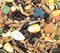 Free Full Frame Seeds Stock Photography - 3987762