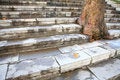 Free Steps And Tree Stock Images - 3991694
