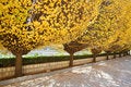 Free Autumn Colors Royalty Free Stock Photography - 3991697